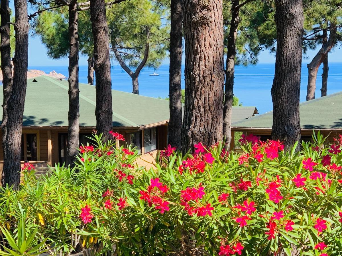 Residence Les Pins Calvi  Exterior foto