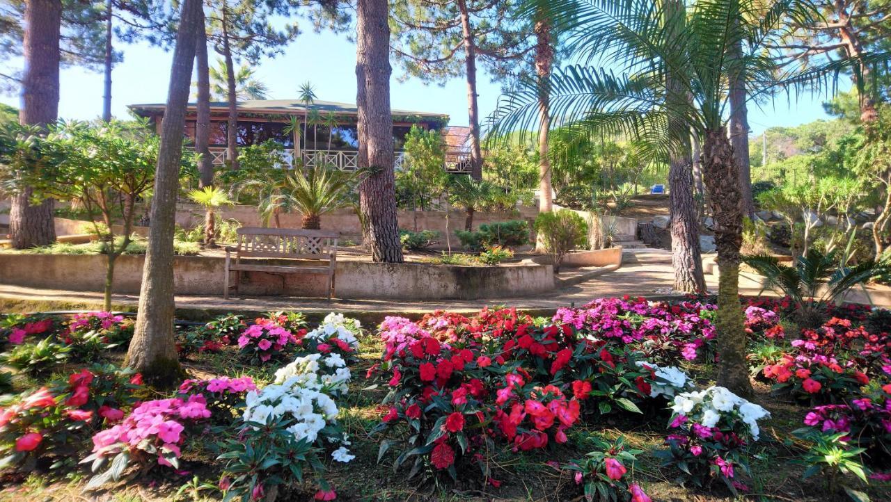 Residence Les Pins Calvi  Exterior foto